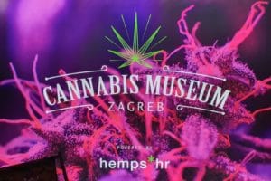 cannabis museum zagreb